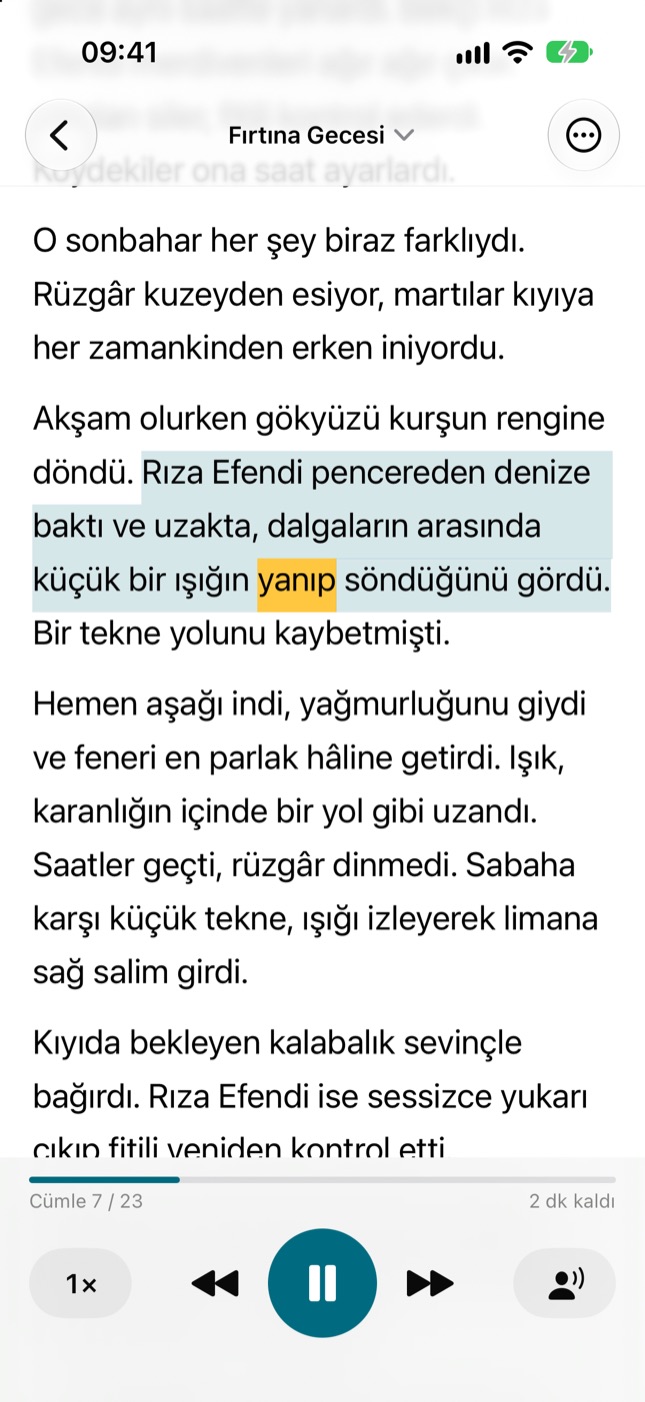 Okurken kelime kelime vurgular